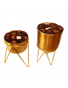 Composition Chocolat Lumière